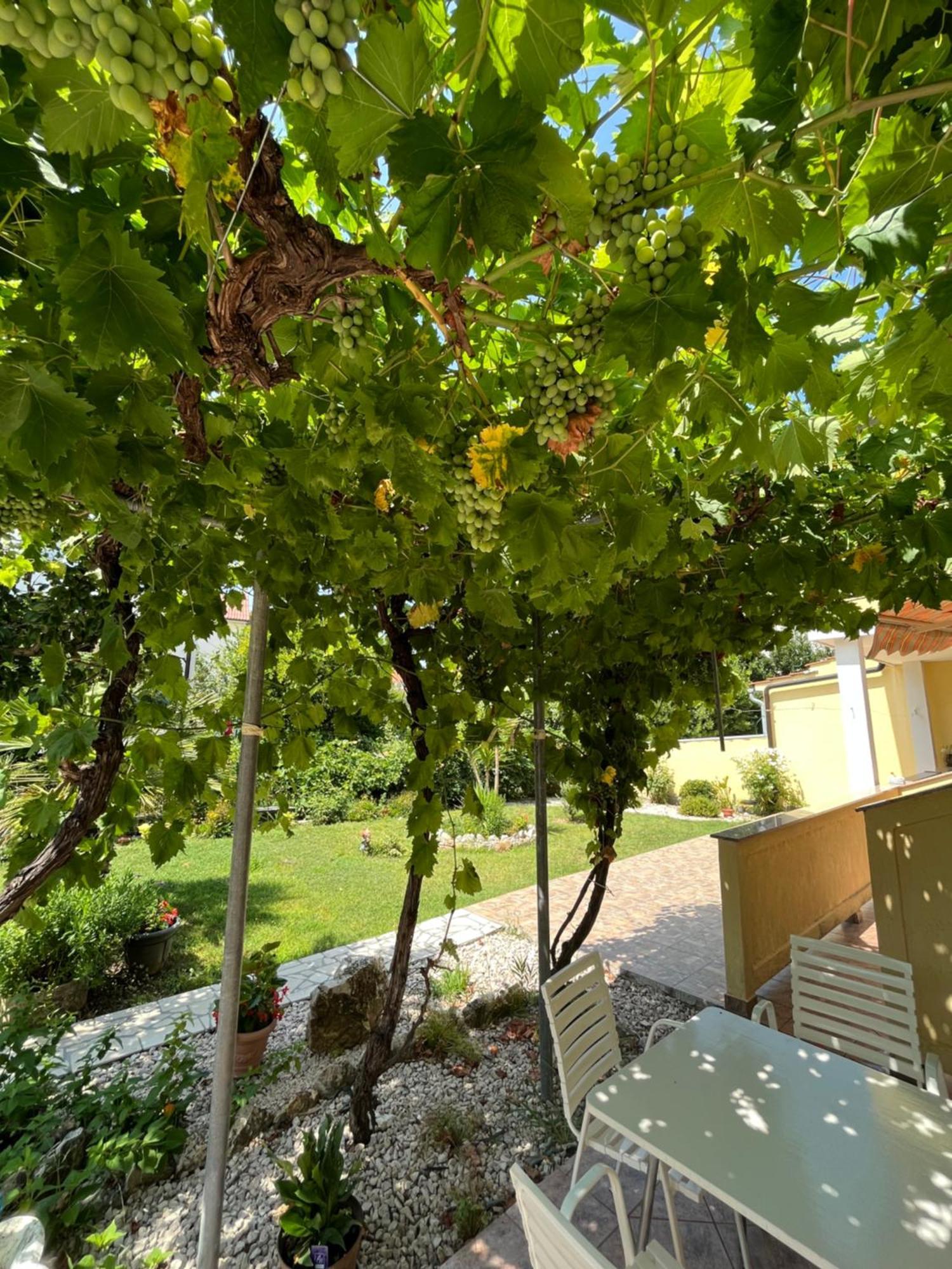 Apartments And Rooms Markovski Palit Exterior photo